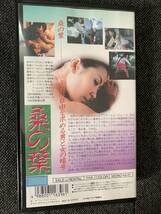 VHS 桑の葉　1988年　韓国映画　字幕スーパー　ビデオテープ_画像2