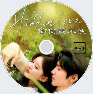 Hidden Love（正常字幕＋自動翻訳）藏不住 中国ドラマ　チャオ・ルースー、チェン・チョーユアン　Blu-ray