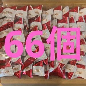 明治 マカダミアチョコレート 66個