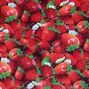 【10%OFF】USAコットン Berry Good Strawberry 真っ赤なイチゴ 苺B 45cm