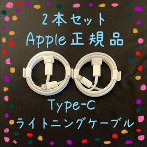 2本セット Apple純正品 ライトニングケーブル Type-C 1m iphone付属品 正規品 タイプC