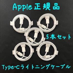 5本セット Apple純正品 ライトニングケーブル Type-C 1m iphone付属品 正規品 タイプC