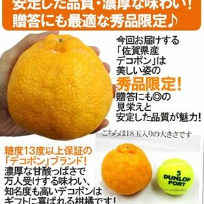 【日本最安値？！】佐賀県産デコポン 5kg 15〜24玉の画像3