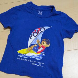 ポロベア　サーフィンTシャツ 