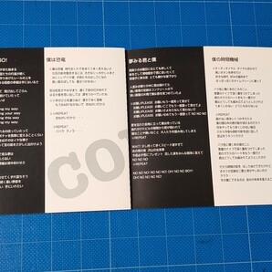 [廃盤希少CD] CD選書 コレクターズ 僕はコレクター 帯付き 盤面美品/再生確認済/TECN-15263/THE COLLECTORS/加藤ひさし/Q盤の画像7