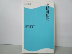 大貧困社会 (角川SSC新書 58) n0603 A-15