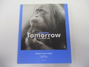 Tomorrow: ステキな明日はきっと来る (ブルーデイブックシリーズ 7) n0603 A-9