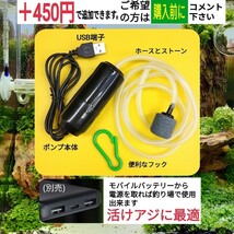 超コンパクト、フィッシング80cmスカリ　ビク_画像9