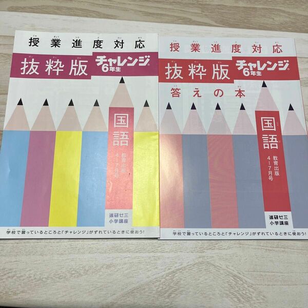 進研ゼミ小学講座　チャレンジ 6年生　国語【未記入！】