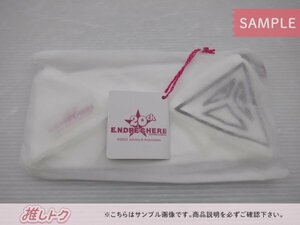 KinKi Kids 堂本剛 ポーチ ENDRECHERI 20th SPECIAL ITEMs [美品]