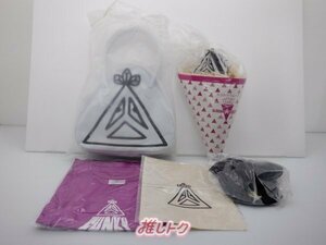 KinKi Kids 堂本剛 グッズセット ENDRECHERI ENDLICHERI☆ENDLICHERI [良品]