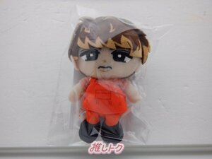 Snow Man 向井康二 1ST DOME tour 2023 I DO ME すのチルぶら下がりシリーズ(ぬいぐるみVer.) 未開封 [美品]