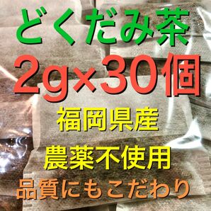 2g×30個　どくだみ茶　ドクダミ茶　野草茶　健康茶　農薬不使用　温活　妊活