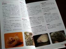 ◎「ハリネズミ 完全飼育」 飼育、生態、接し方、健康管理、病気がよくわかる　PERFECT PET OWNER’S GUIDES_画像9