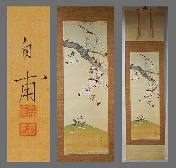 [Authentic] ■Mori Hakuho■Cherry Blossoms■Hand-painted■Hanging scroll■Japanese painting■, Painting, Japanese painting, Flowers and Birds, Wildlife