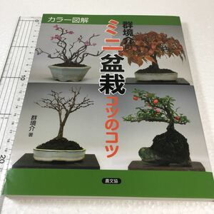 即決　未読未使用品　全国送料無料♪　カラー図解 群境介のミニ盆栽コツのコツ　JAN- 9784540151859