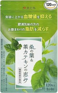 送料無料！和漢の森 桑の葉＆茶カテキンの恵み 1袋 120粒 機能性表示食品 血糖値を抑える お腹の脂肪を減らす 内臓脂肪 サプリ