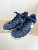 NIKE 666900-411 ダイナスティー ライト LOW 29cm_画像1