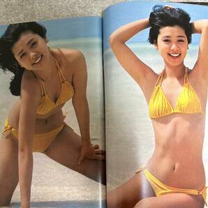 週刊プレイボーイ 1980年 昭和55年5月13日 田中ちはる 泉じゅん 白石まるみの画像10