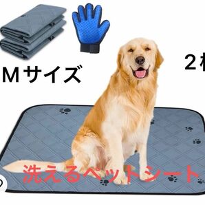 RITAGO洗えるペットシーツ ペット用 Mサイズ 2枚 犬 猫