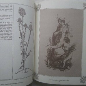 ハーブ 薬用植物 洋書 The Book of Home Remedies and Herbal Cures Carol Bishop 古典 花・植物画 草本・薬草/ハーブ治療の画像3