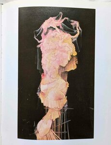 ハンス・ベルメール 300ページ 洋書 Hans Bellmer シュルレアリスム/球体関節人形/ドローイング