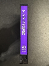 稀少 VHSビデオテープ アンデスの聖餐 バップビデオ 人肉で生き残った16人の若者 LA ODISEA DE LOS ANDES 1976年_画像5