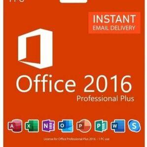 Microsoft Office 2016 professional plus for Windows 　永続ライセンス