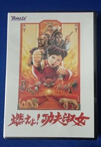 &★パチスロDVD(未開封)★「燃えよ！功夫淑女」★ 山佐プロモーション非売品★