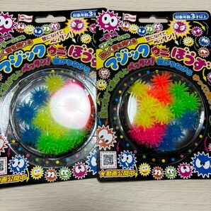 【新品】 マジックウニぼうず　2点セット　おもちゃ　うにぼうず