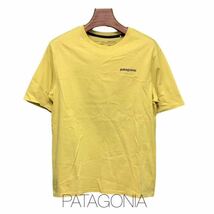 patagonia ,パタゴニア, 半袖 Tシャツ ,古着, XSサイズ_画像1