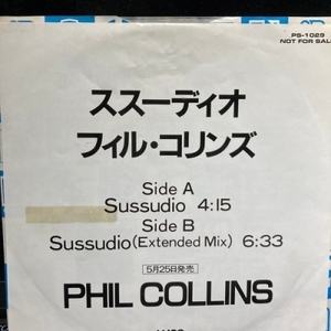 【コピス吉祥寺】PHIL COLLINS/ススーディオ(PS1029)