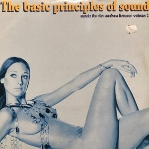 【HMV渋谷】VARIOUS/THE BASIC PRINCIPLES OF SOUND - MUSIC FOR THE MODERN LISTENER VOLUME 2(SS002)