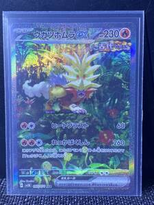 ★全国送料無料★ポケモンカードゲーム　ウガツホムラex　SAR　ワイルドフォース　SV5K　新品　未使用