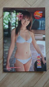 ヤングガンガン 小冊子 山本梓・原幹恵・横山ルリカ・鎌田奈津美