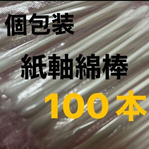 個包装紙軸綿棒　100本セット　衛生用品　日用品　ジム　水泳後　メイク直し　わんこ耳かき　500円で買える200円クーポン