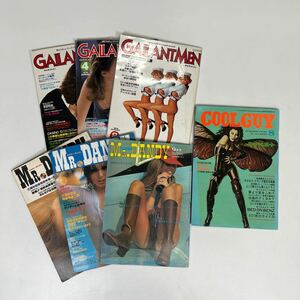 Mr. Dandy GALLANTMEN 他　ヌード　エロ　雑誌　7冊まとめ売り　写真集　ピンナップ　1970年代　海外　ファッション アート