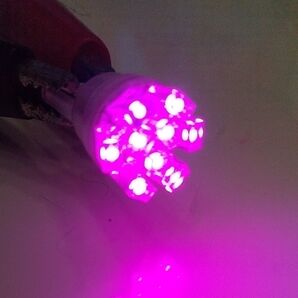 LEDスモール ポジション球 ピンク T10 広角拡散タイプ 開花 2個