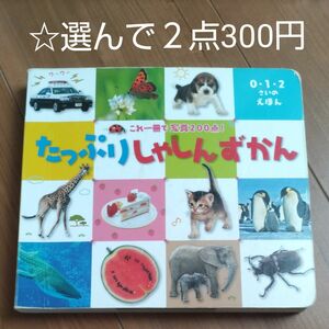 ☆選んで２点300円 たっぷりしゃしんずかん （０・１・２さいのえほん　カルタのようにゆびさしあそび） 