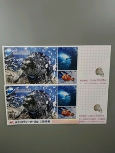 【送料無料】 新江ノ島水族館　招待券　2枚　2024年3月31日まで