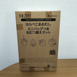 はらぺこあおむし　ミニバッグつきおむつ替えマット　付録