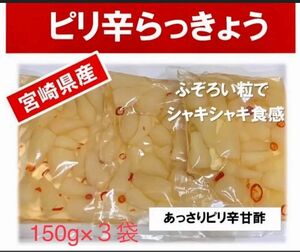 【宮崎のお漬物】あっさりピリ辛らっきょう150ｇ　3袋らっきょう出荷日本一