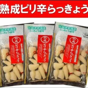 宮崎のお漬物】熟成・ピリ辛らっきょう（甘酢漬）80g 3袋　唐辛子のピリ辛