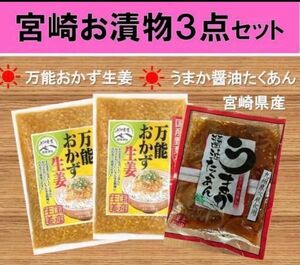 【宮崎のお漬物】万能おかずしょうが2袋 うまか醤油たくあん1袋　3点セット