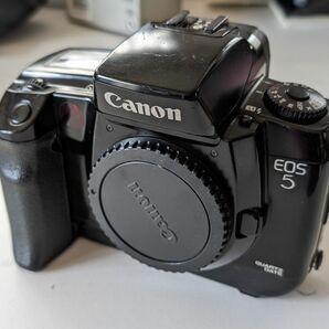 Canon EOS 5QD フィルム一眼レフカメラ 実働品