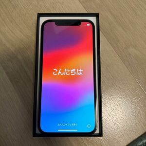 iPhone 12pro 256GB グラファイト