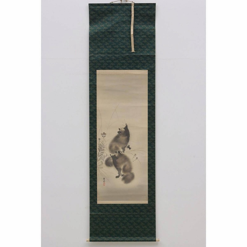 CD02-9108[TOM] [Authentic work] Kinho Mochizuki Hanging scroll, silk, handwritten, painted, signed, stamped, animal painting, master of Kan'ei Nishiyama, Shijo school, Meiji period, raccoon dog, painting, Japanese painting, flowers and birds, birds and beasts