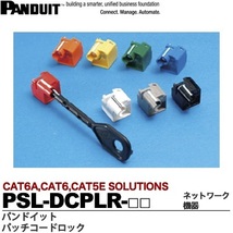 【送料込】パンドウイット(PANDUIT) パッチコードロック（LANケーブルロック）10個入り PSL-DCPLRX-IW_画像3