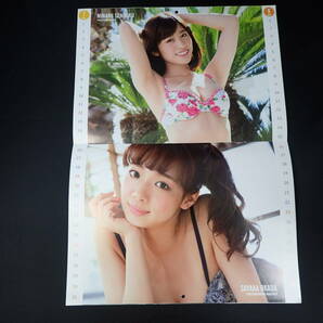 ヤングアニマル 2015年1号特別付録 2015 PLATINUM IDOL CALENDAR 篠崎愛・小池里奈・壇蜜・足立梨花ほかの画像5