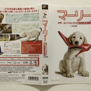 B25620 中古DVD(セル版）◆ マーリー 世界一おバカな犬が教えてくれたこと (特別編)  ケースなしの画像1